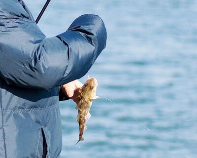 Ferienwohnung Meerblick